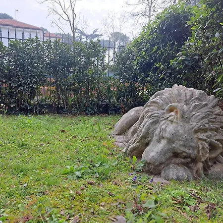 Lion House Appartement Riccione Buitenkant foto